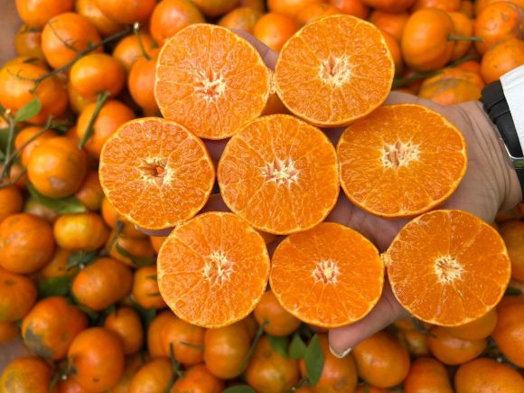 Vì sao người Việt nên dùng nông sản Việt?