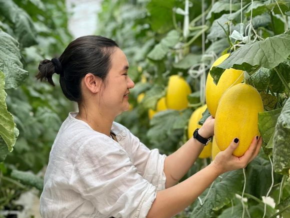 Ai Fruit Boxes: Nông nghiệp bền vững bắt đầu từ sự tử tế