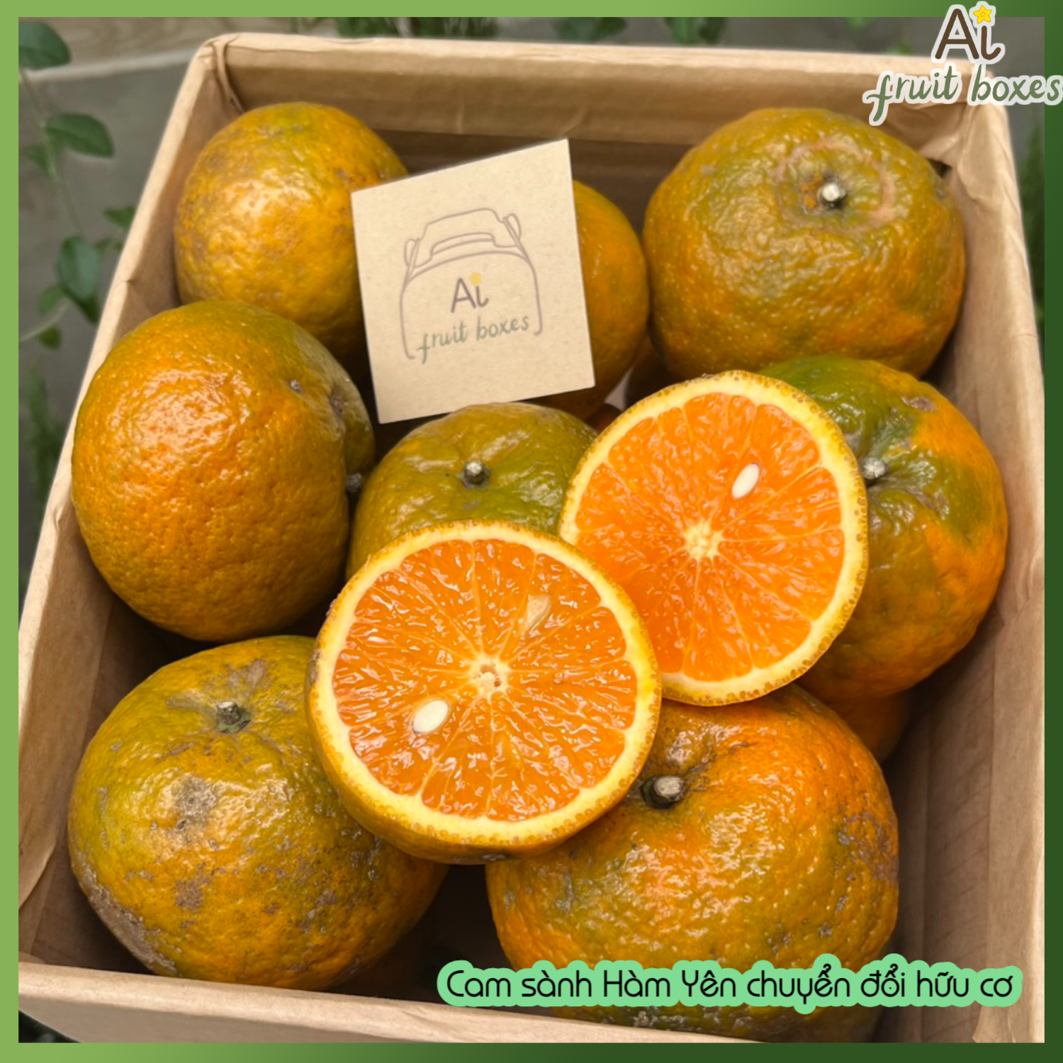 AFB CamsanhHamYen (2)