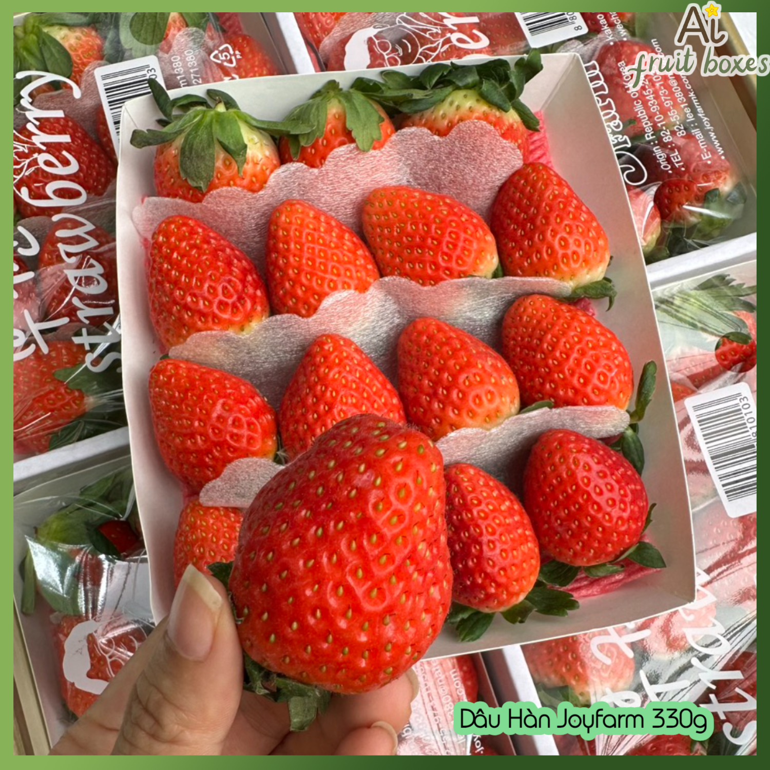 AFB Dau Han joy (13)