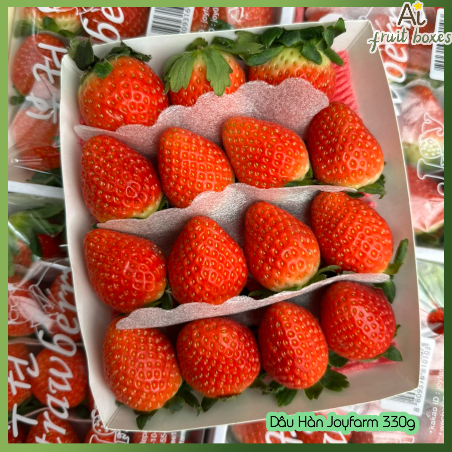 AFB Dau Han joy (14)