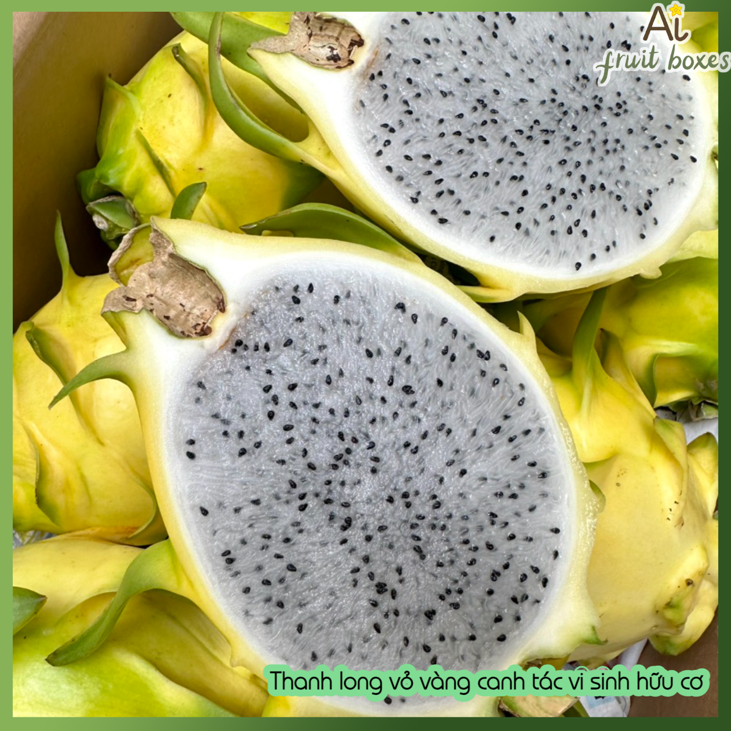 AFB thanhlongvovang (2)