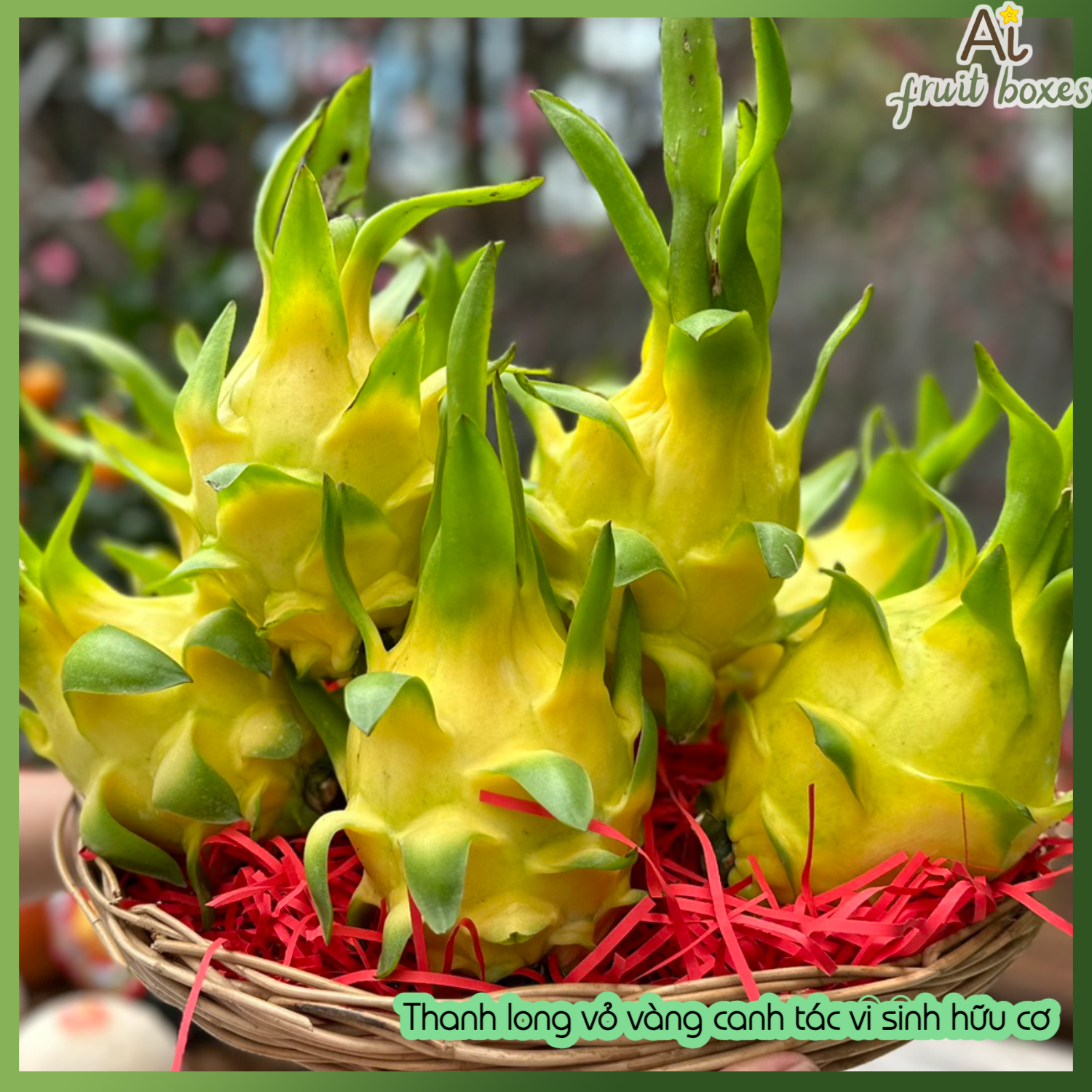 AFB thanhlongvovang (4)