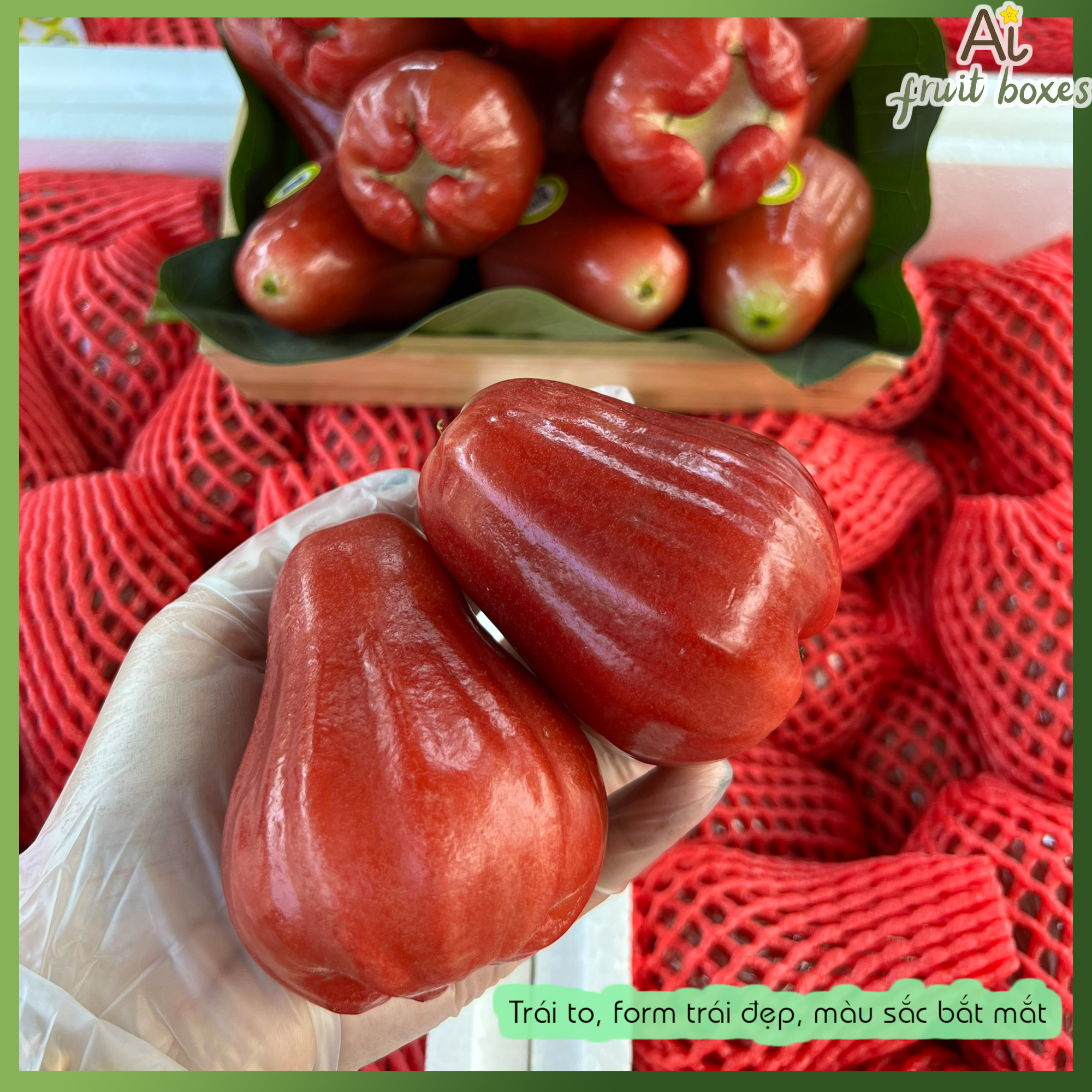 AiFruitBoxes man do3