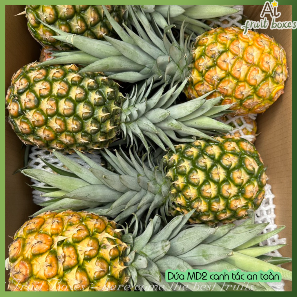 Ai Fruit Boxes - Trái cây chuẩn hữu cơ, Global GAP, VietGAP