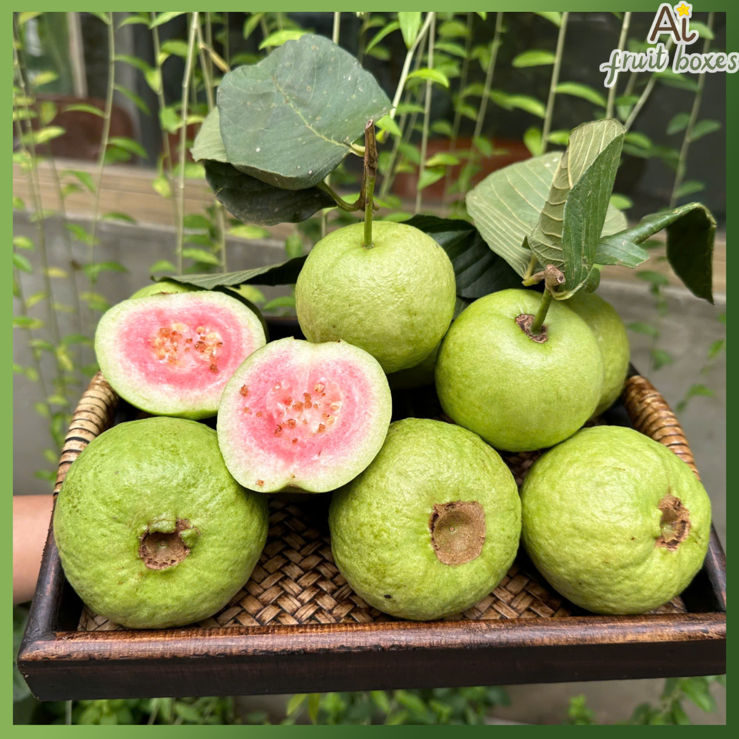 photo 2024 09 07T145256.342