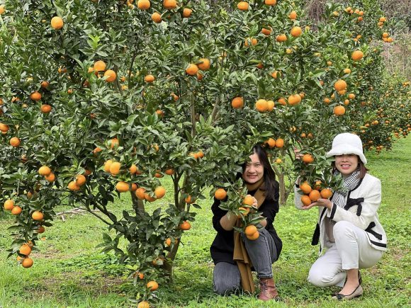 Tản mạn về chuyện ăn uống: Mùa nào thức nấy!