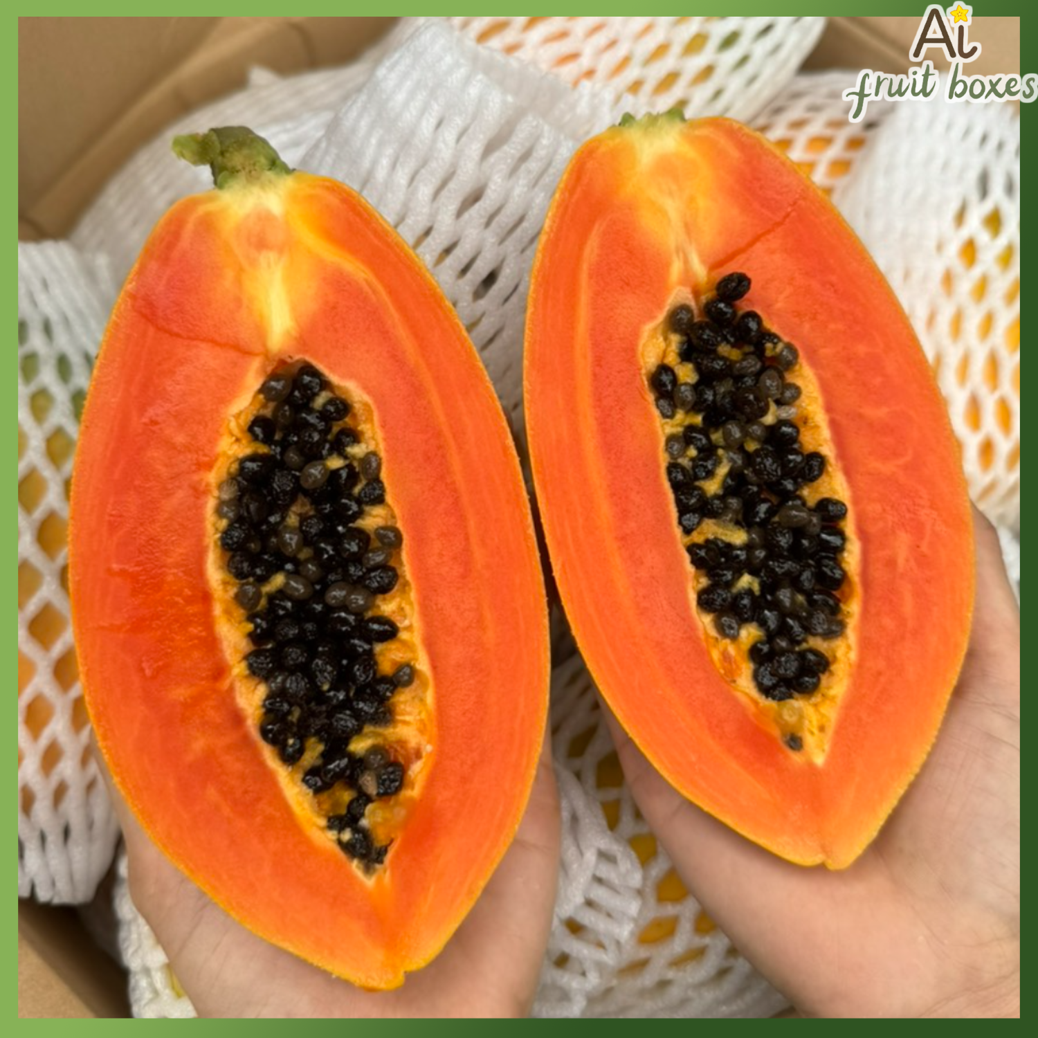 AFB duduminiNhat (1)