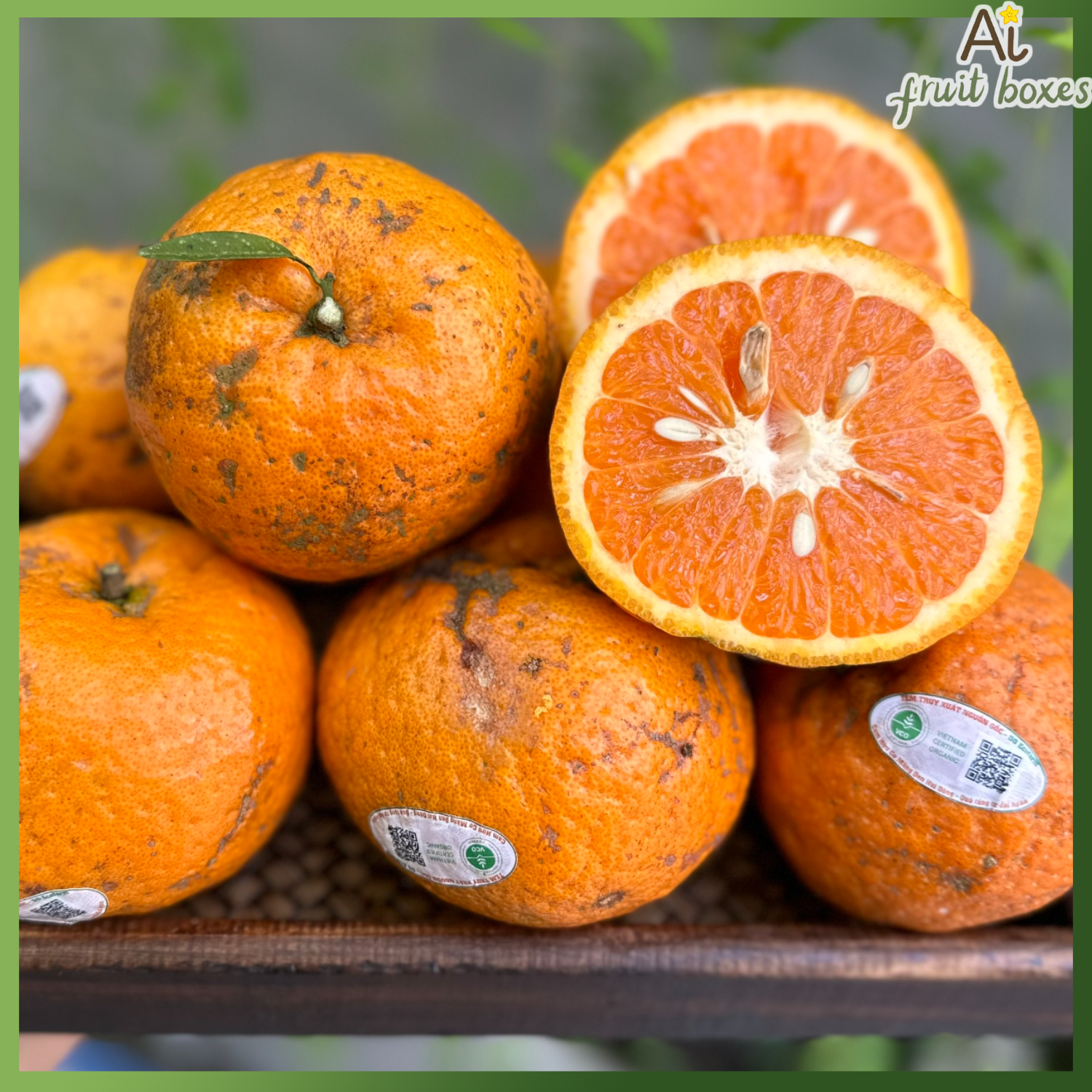 AFB CamsanhMangDen (1)