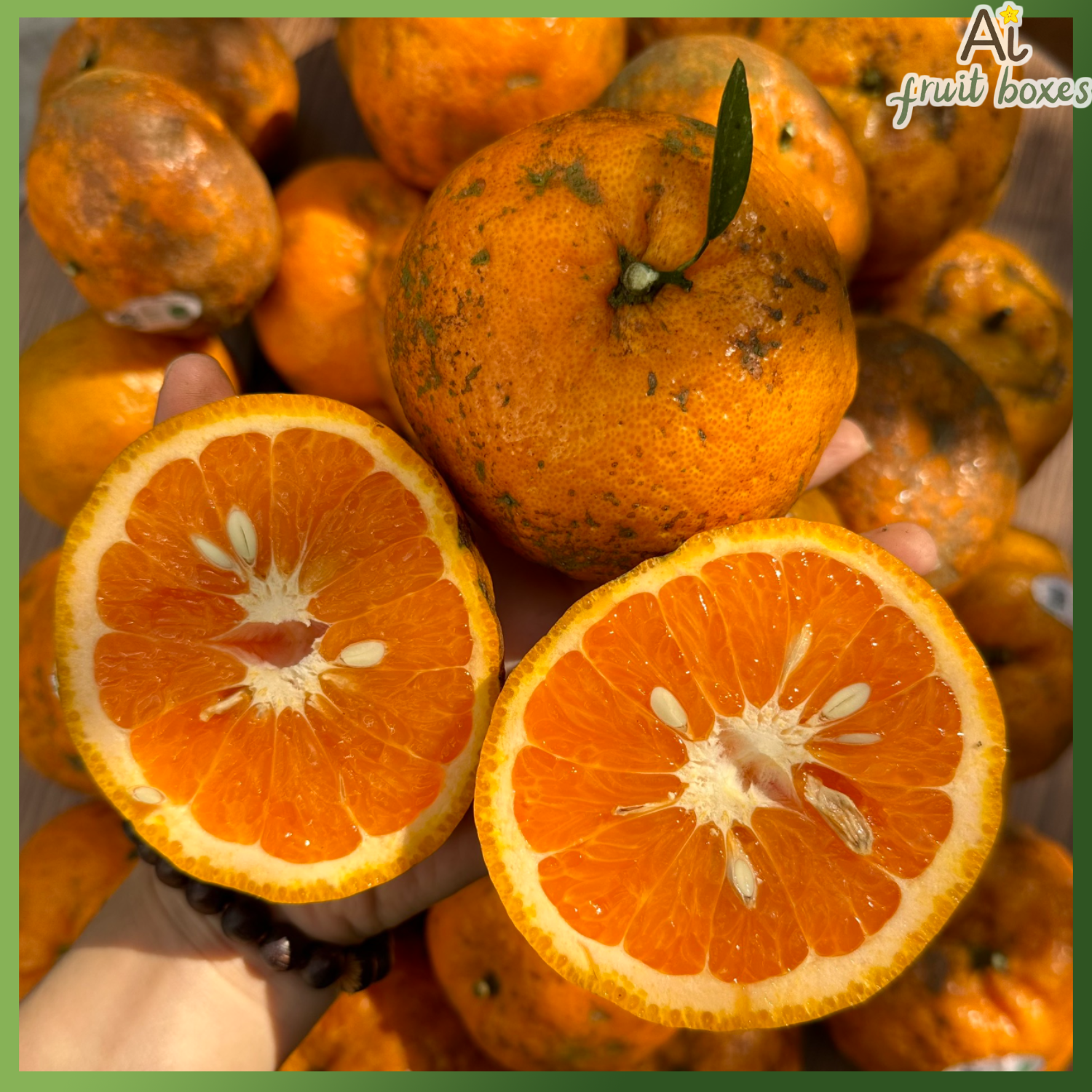 AFB CamsanhMangDen (2)