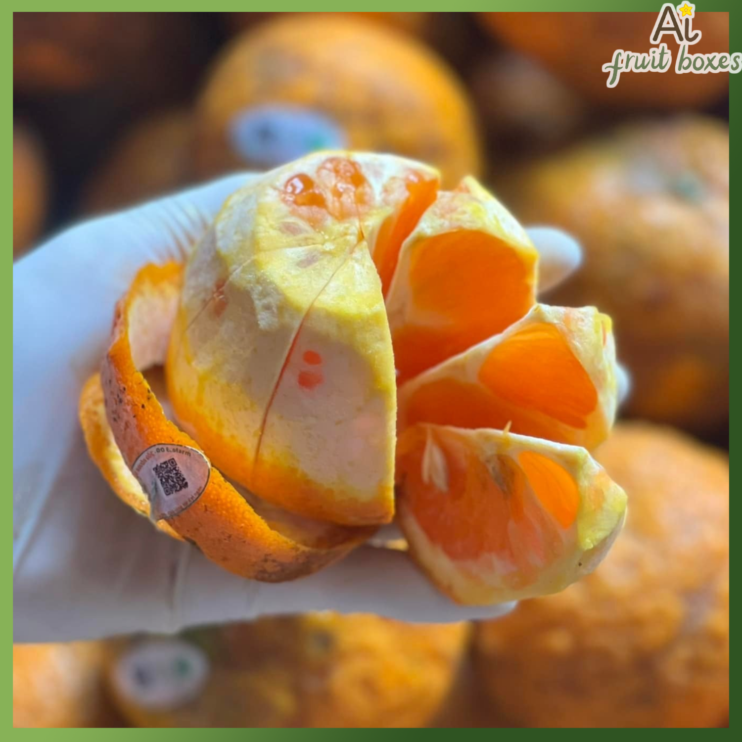 AFB CamsanhMangDen (3)