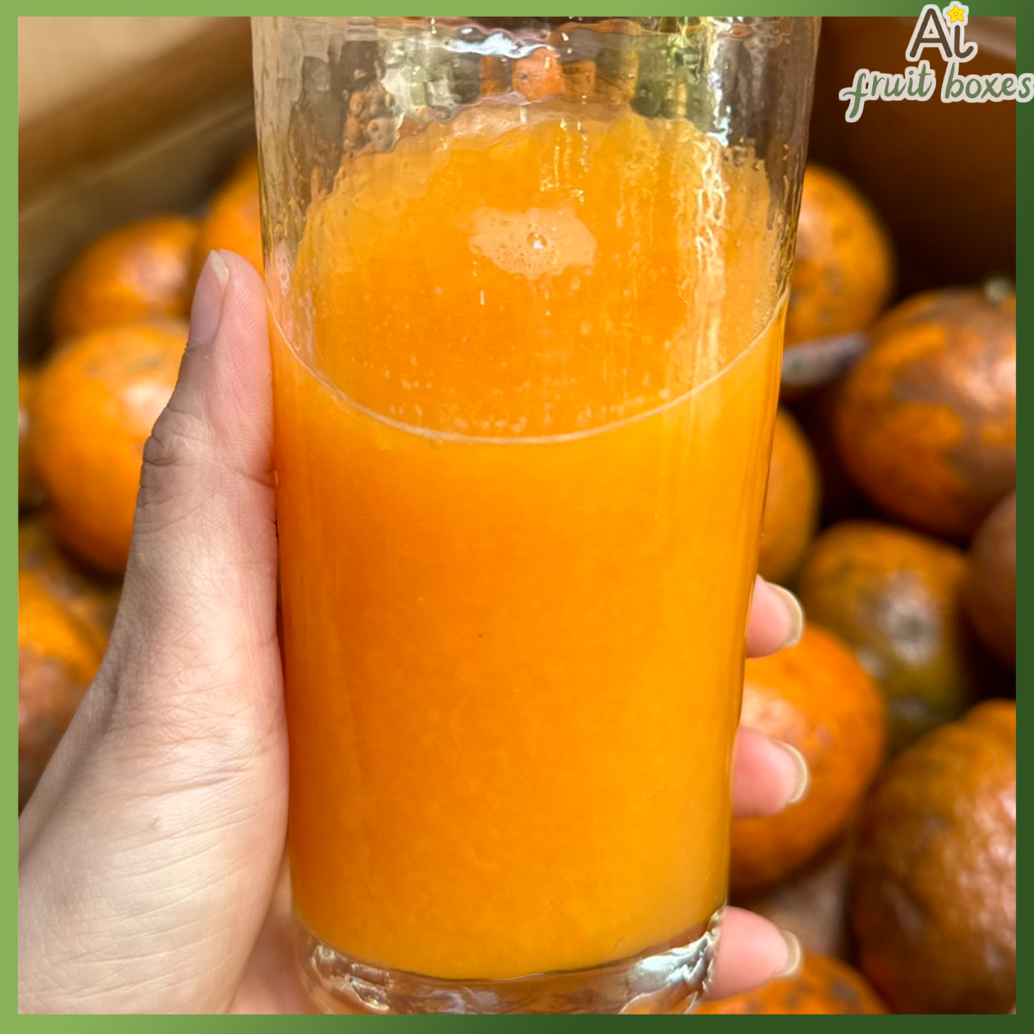 AFB CamsanhMangDen (4)