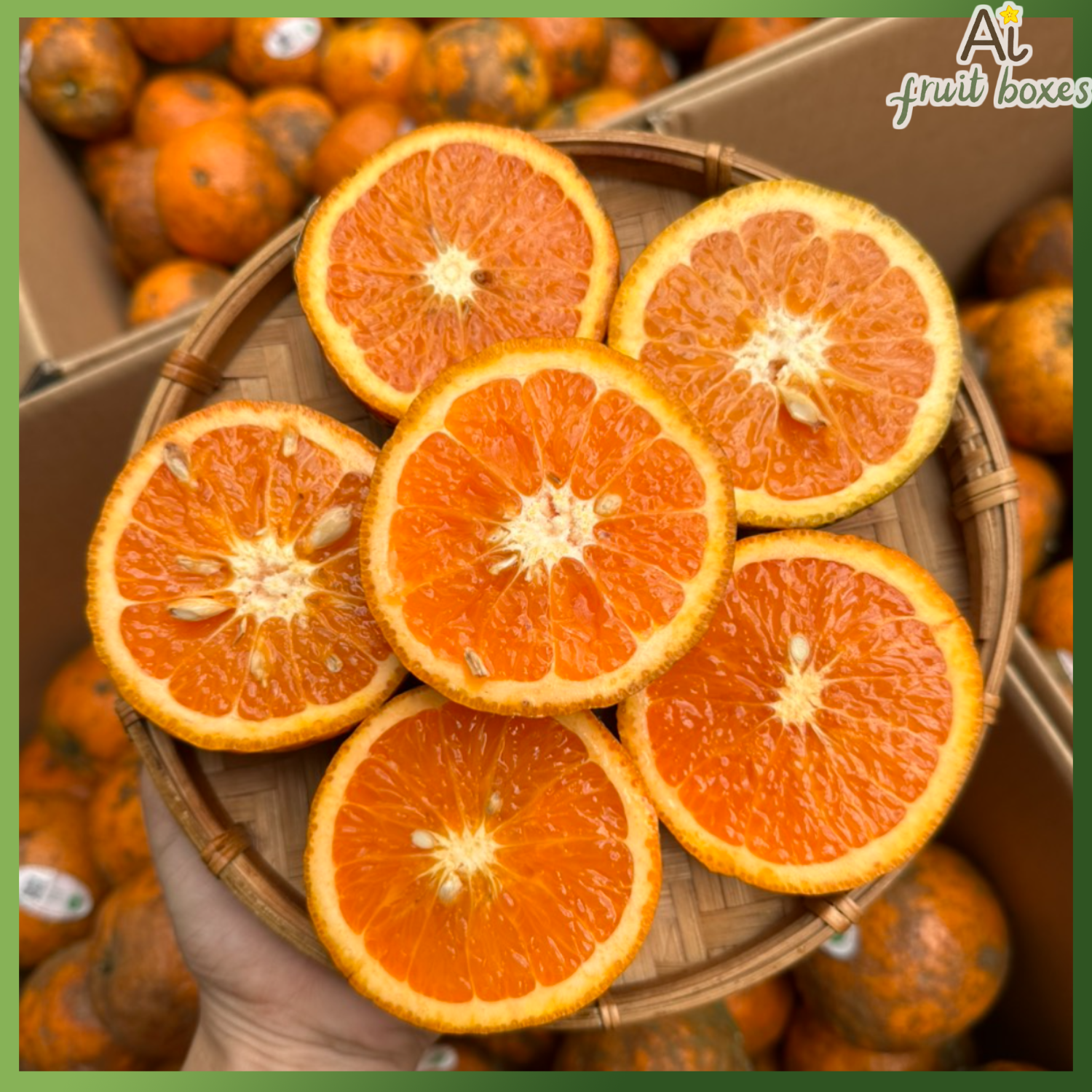 AFB CamsanhMangDen (5)