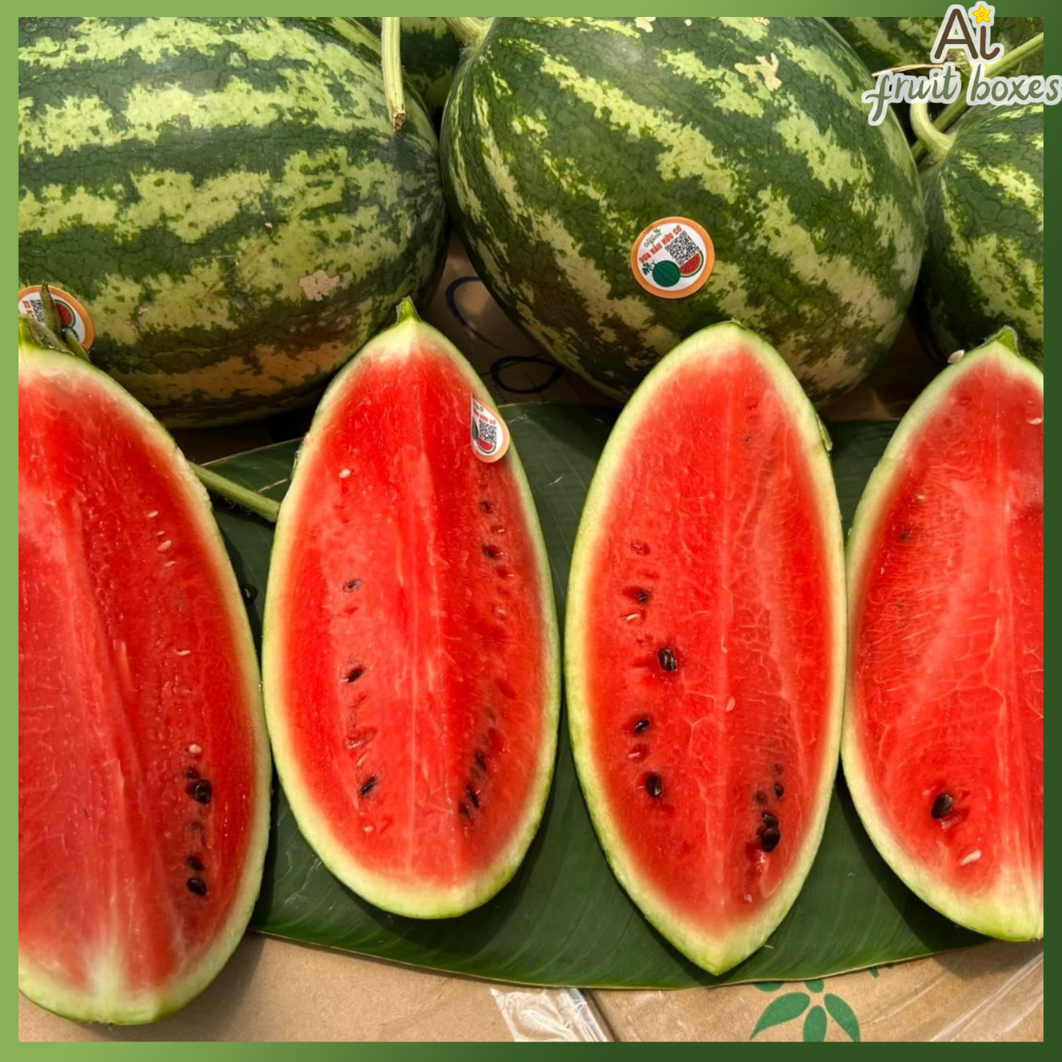 AFB Duahau hat QL (1)