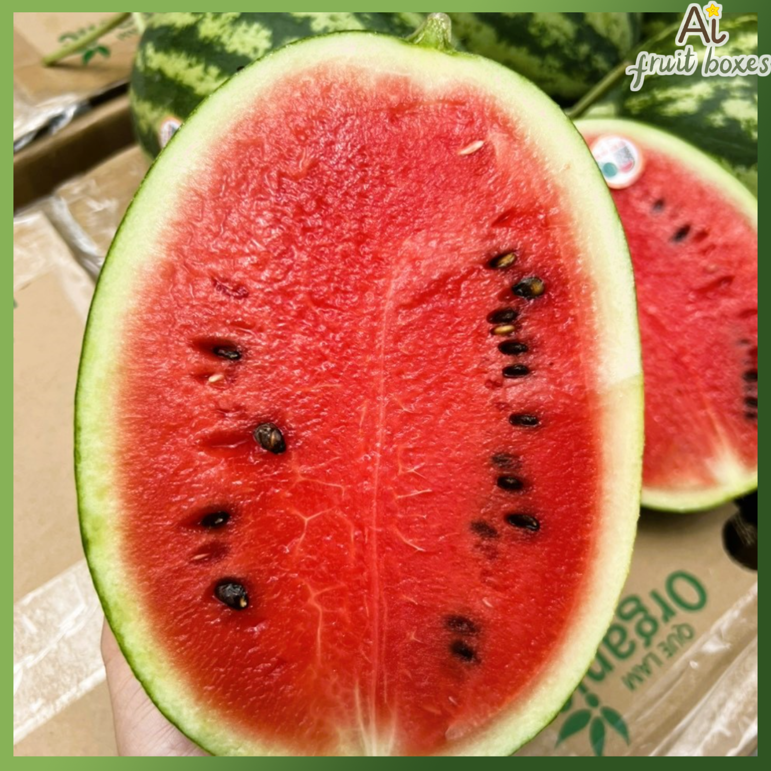 AFB Duahau hat QL (5)