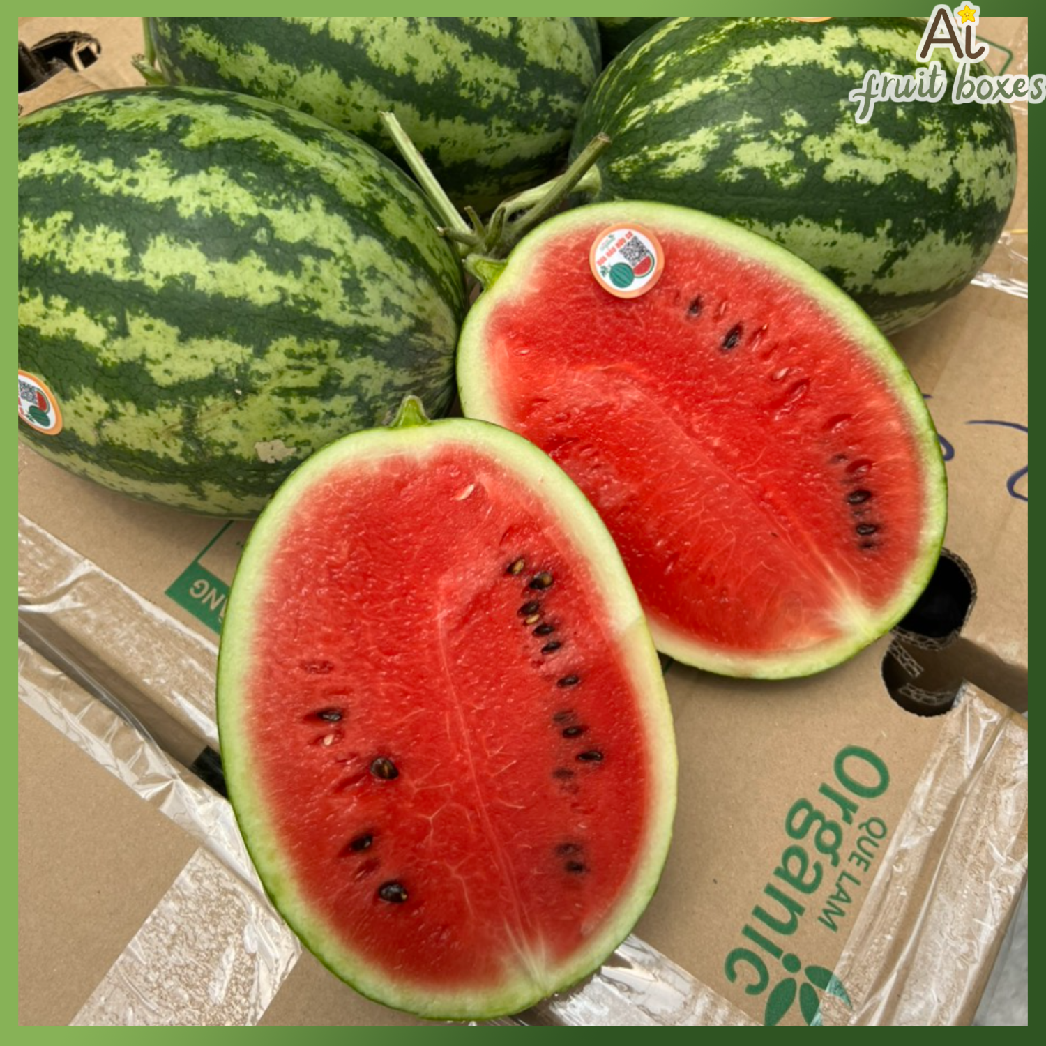 AFB Duahau hat QL (8)