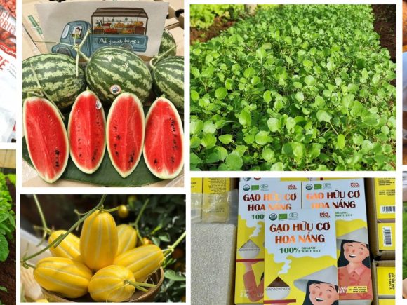 Những lợi ích tuyệt vời khi sử dụng thực phẩm hữu cơ