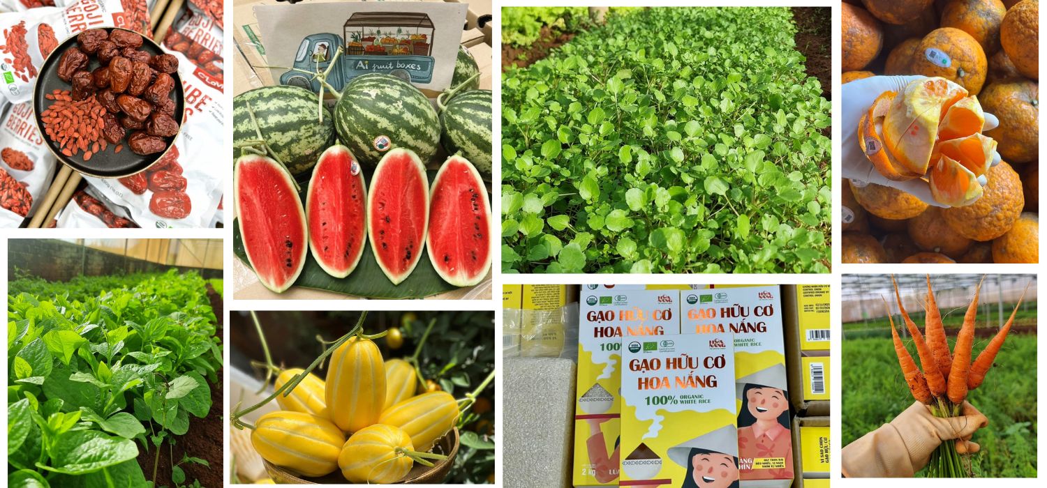 Thiết kế chưa có tên (6)