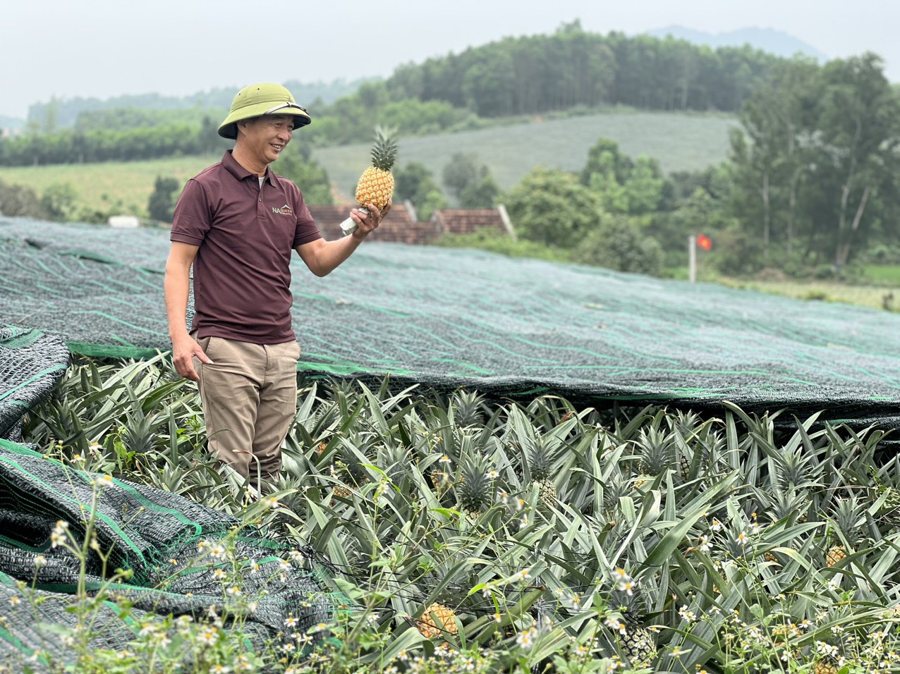 bc264c12 924d 4064 aee6 783e6dd71e53