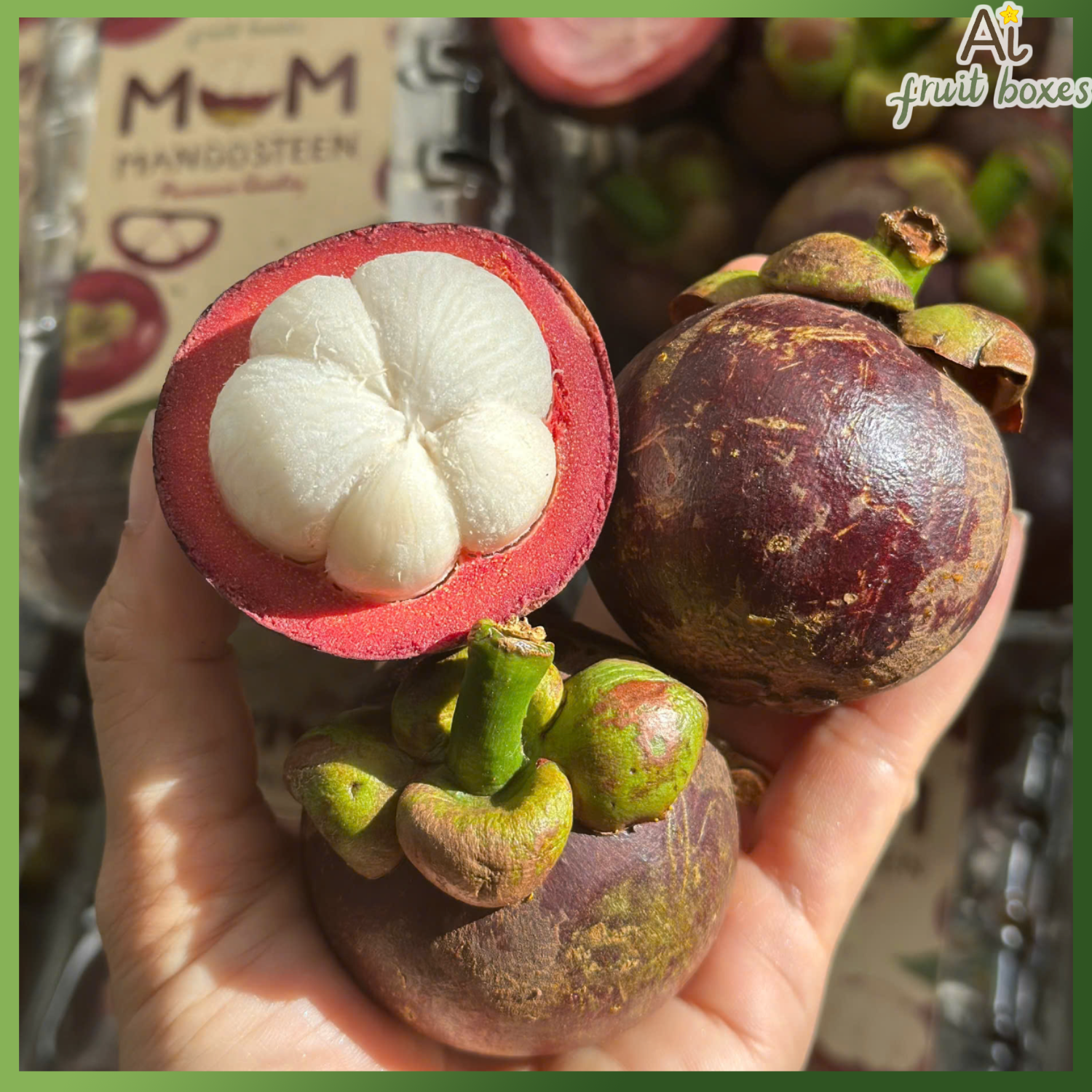 photo 2025 05 27T124721.494