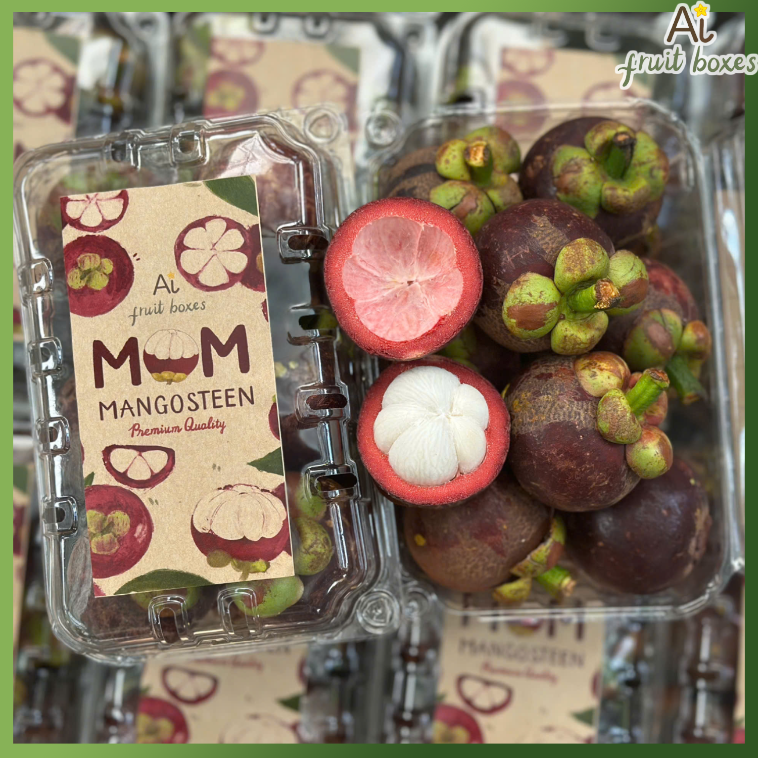 photo 2025 05 27T124808.708