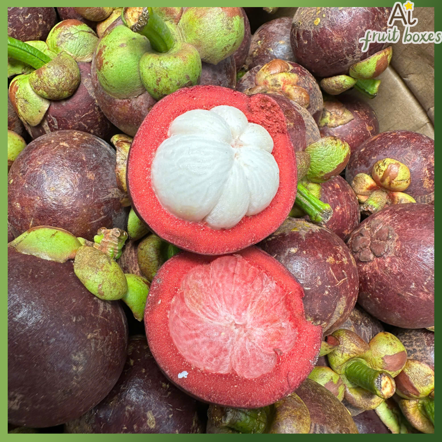 photo 2025 05 27T124859.035