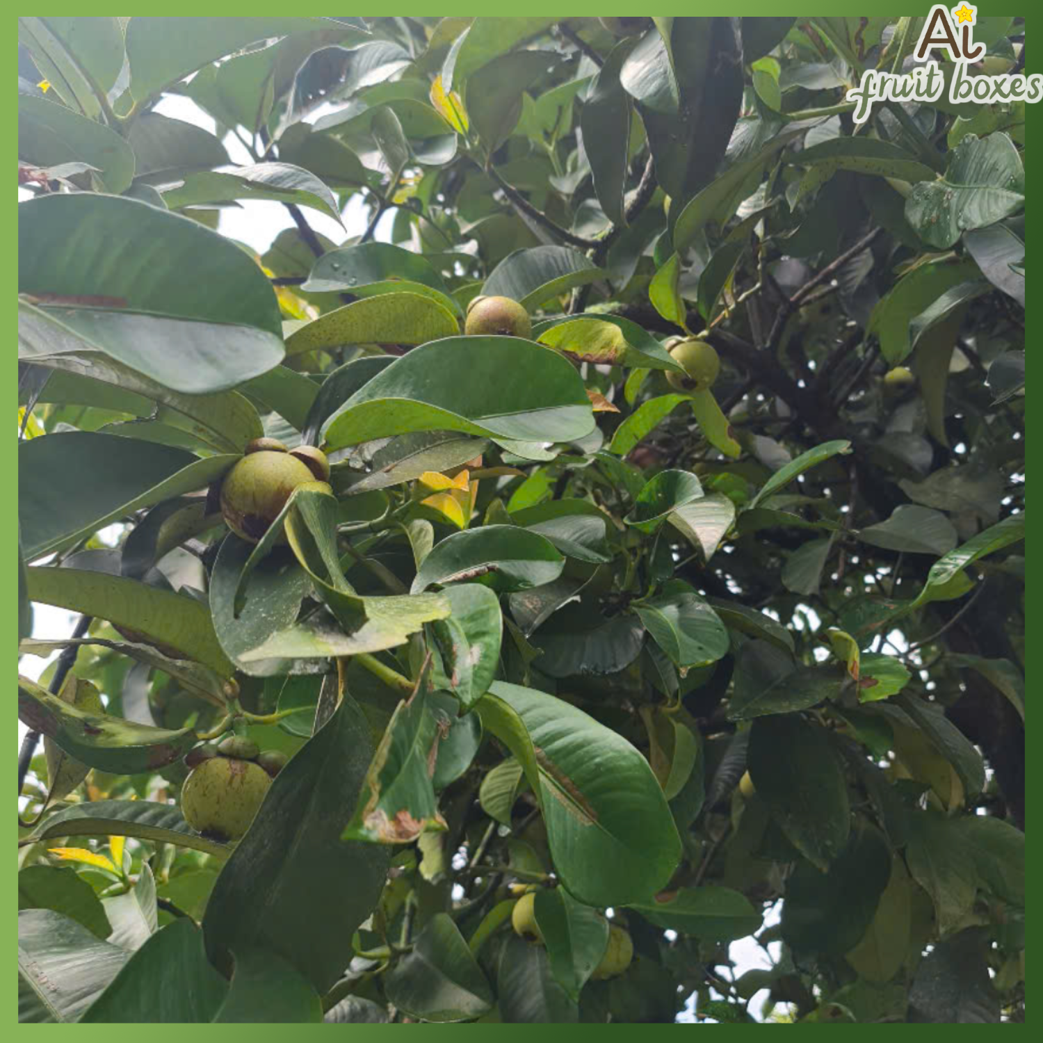 photo 2025 05 27T125558.365