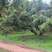 9a053f78 5e27 4115 ac50 f5cc05e2d1f1