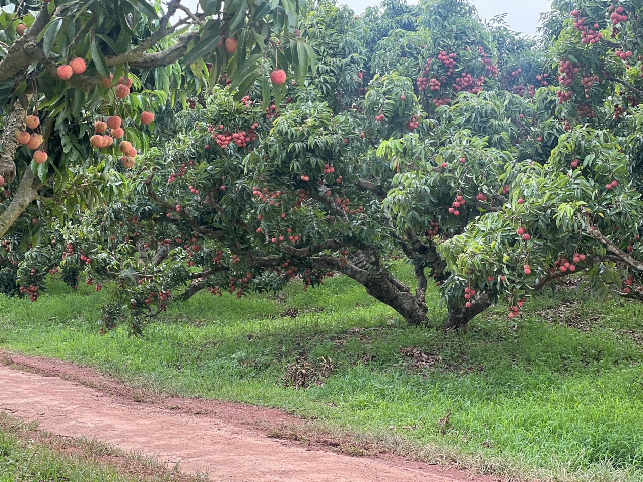 9a053f78 5e27 4115 ac50 f5cc05e2d1f1