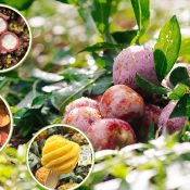 Thiết kế chưa có tên (12)