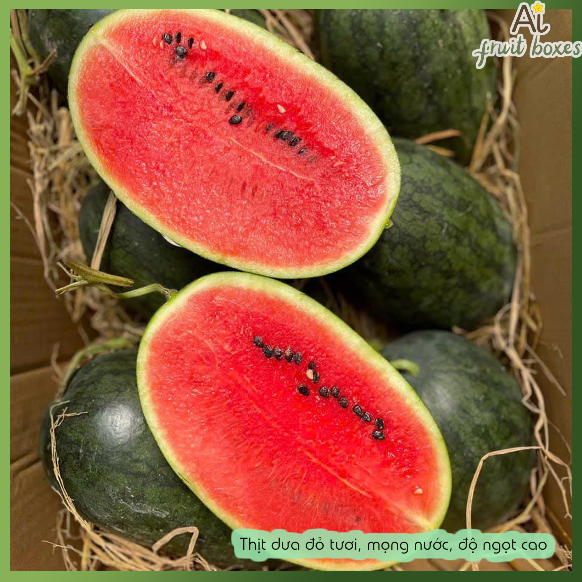 5106578e f93a 4146 bfce 4a34a51f3c56