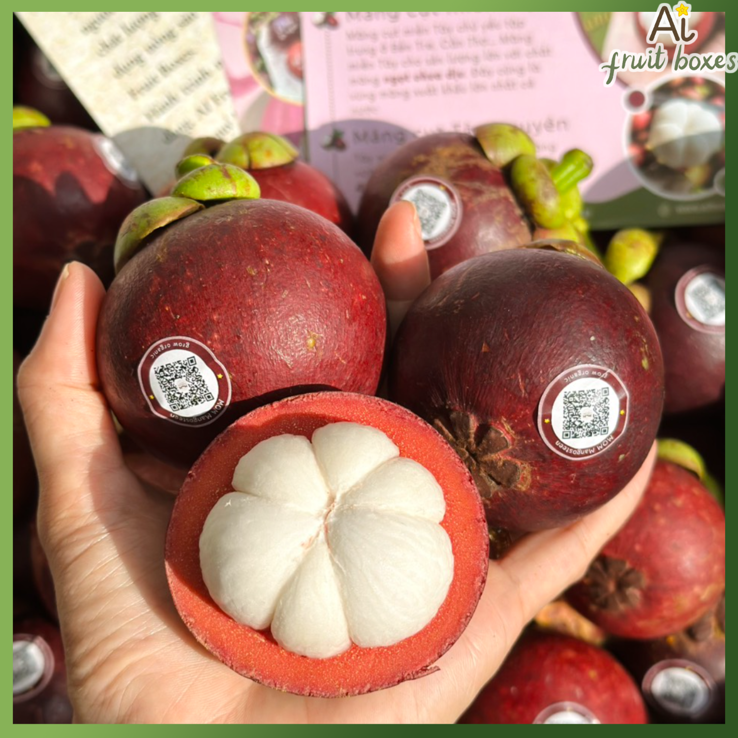 photo 2024 08 03T105200.671