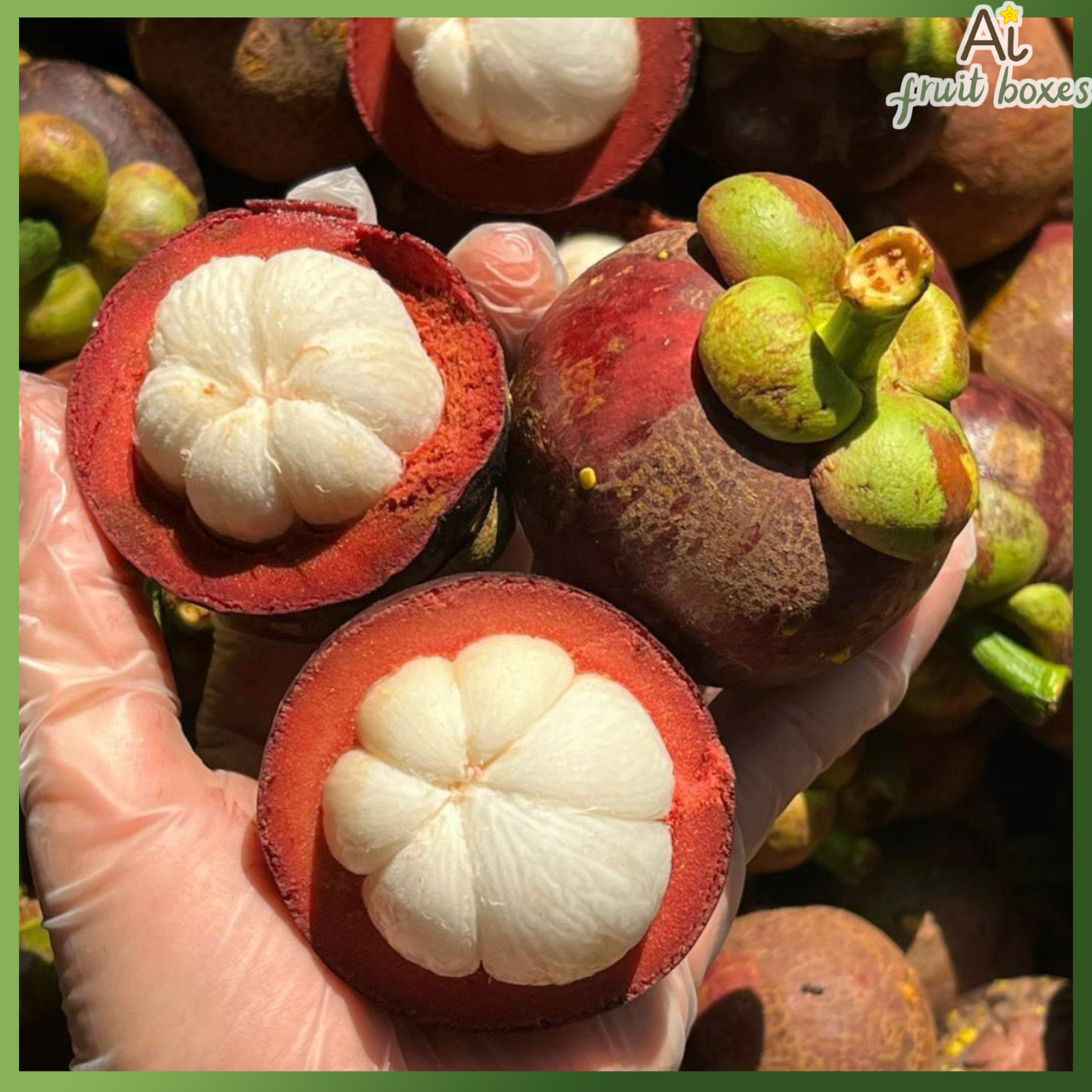 photo (34) photo (50)