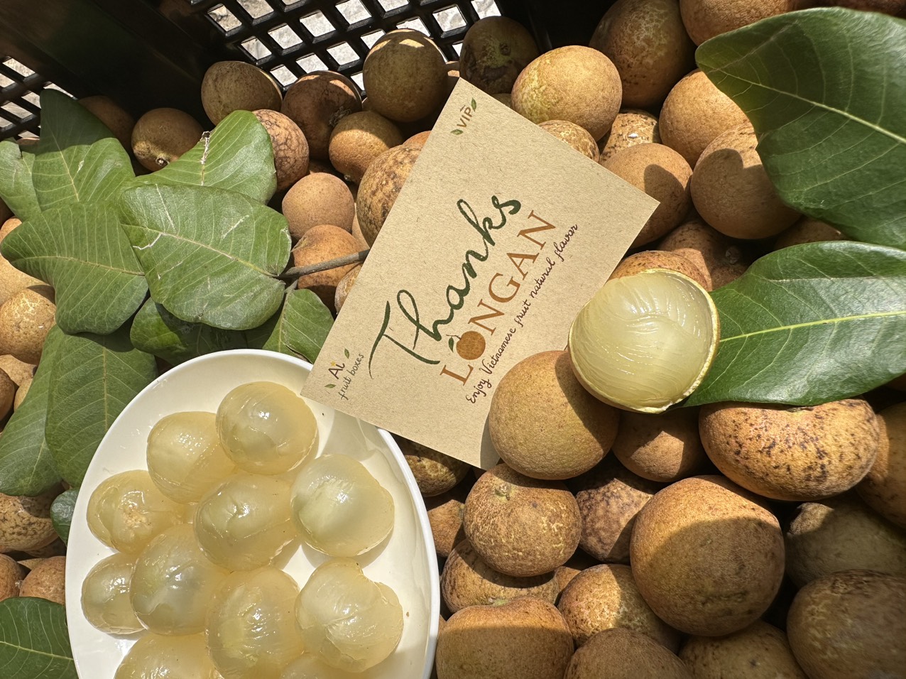 17e02bd1 5ccc 4048 a62c 4f5be8c76988