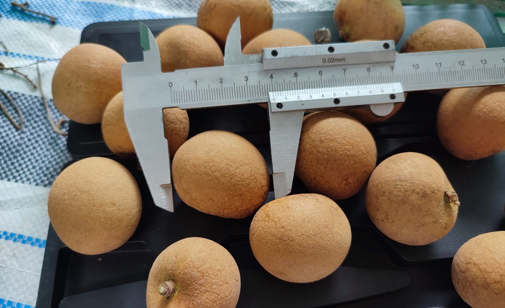 361872969 2995316230600611 2051251961747264642 n