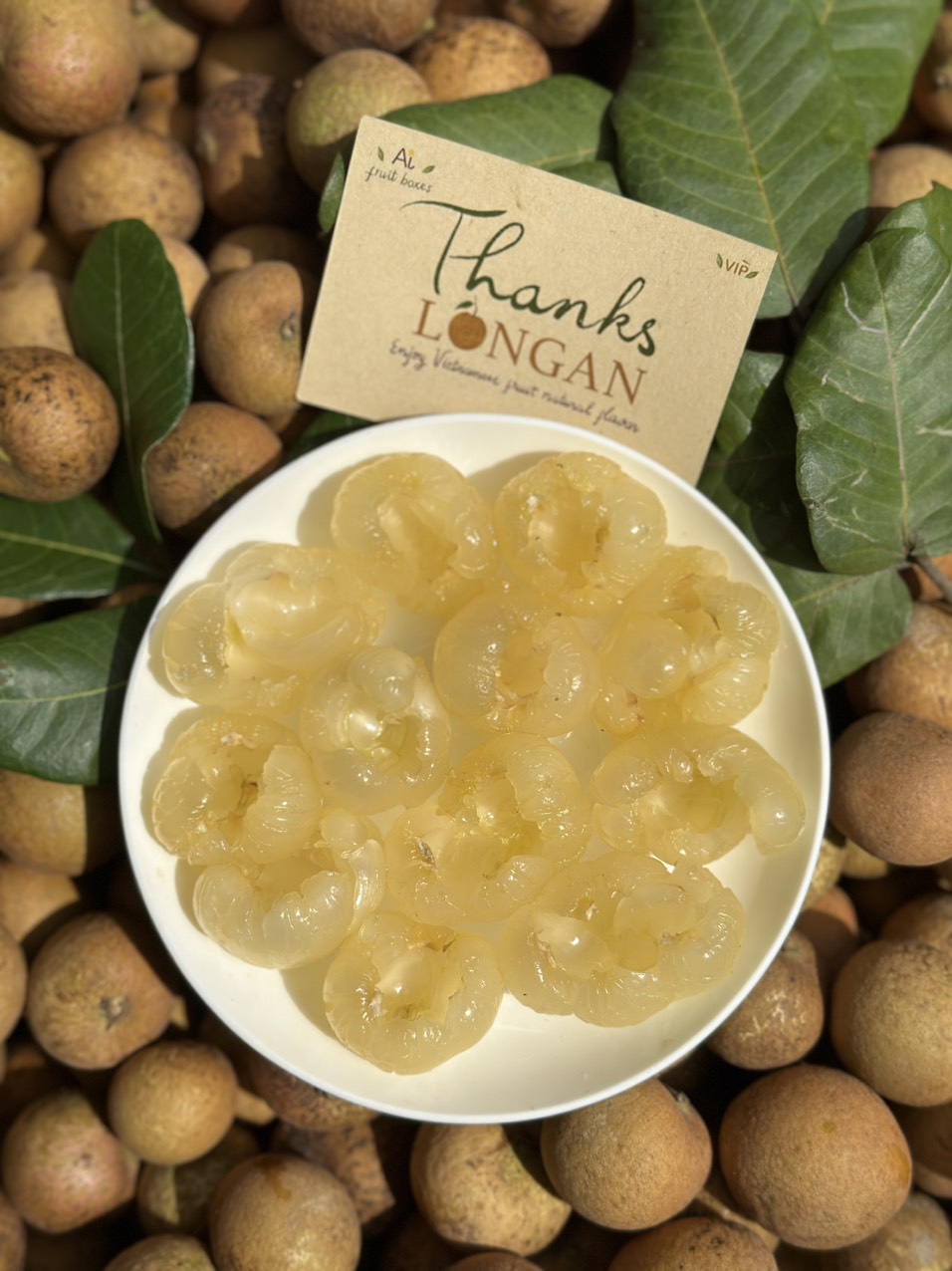 9788e4c5 58e7 4d1b b978 a5513c32c5b3