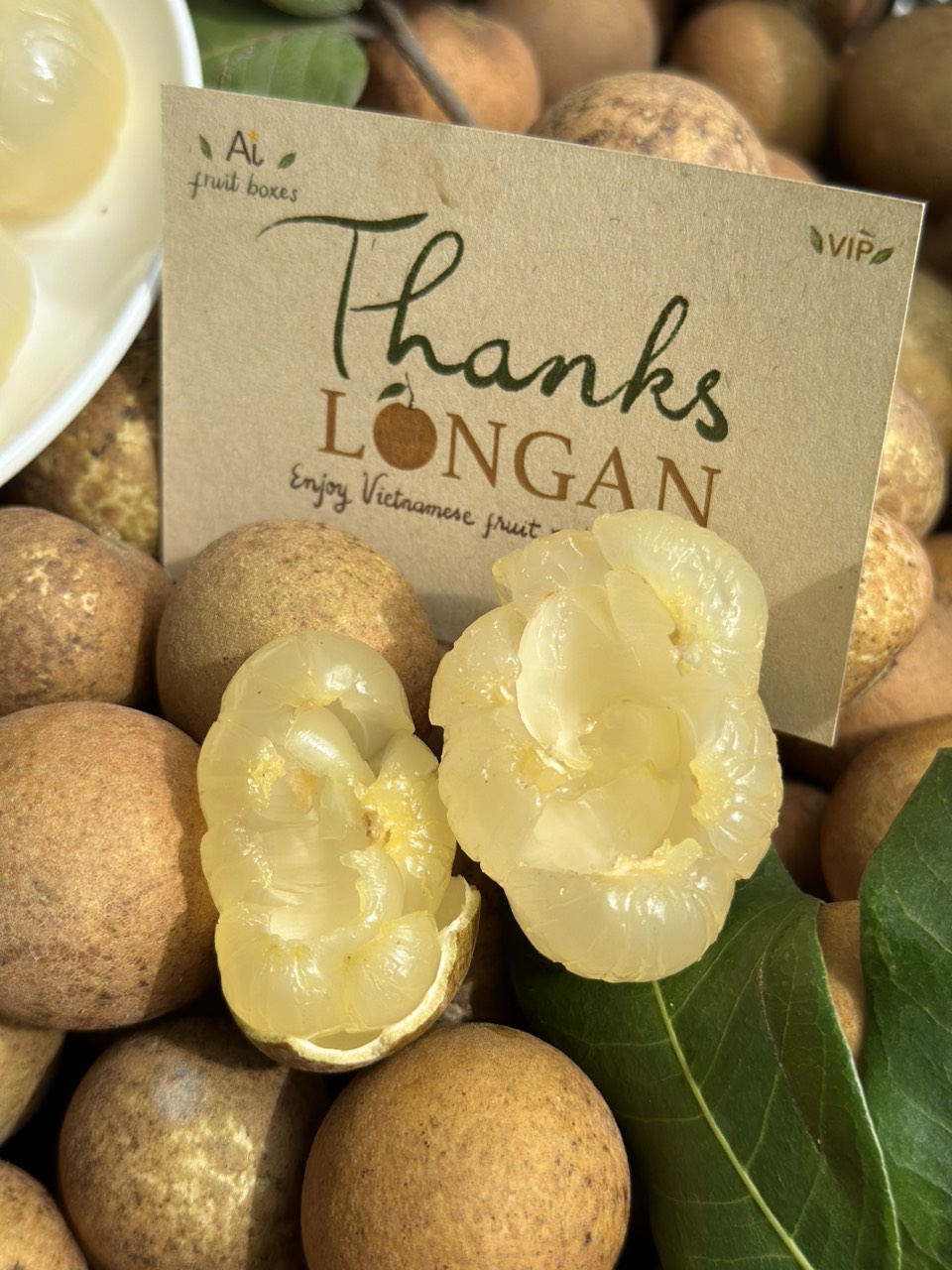 9c9b9011 b071 4ba8 a8c5 8b427da68553