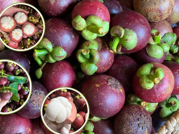 Măng cụt – Trái cây đặc sản miền Nam Việt Nam