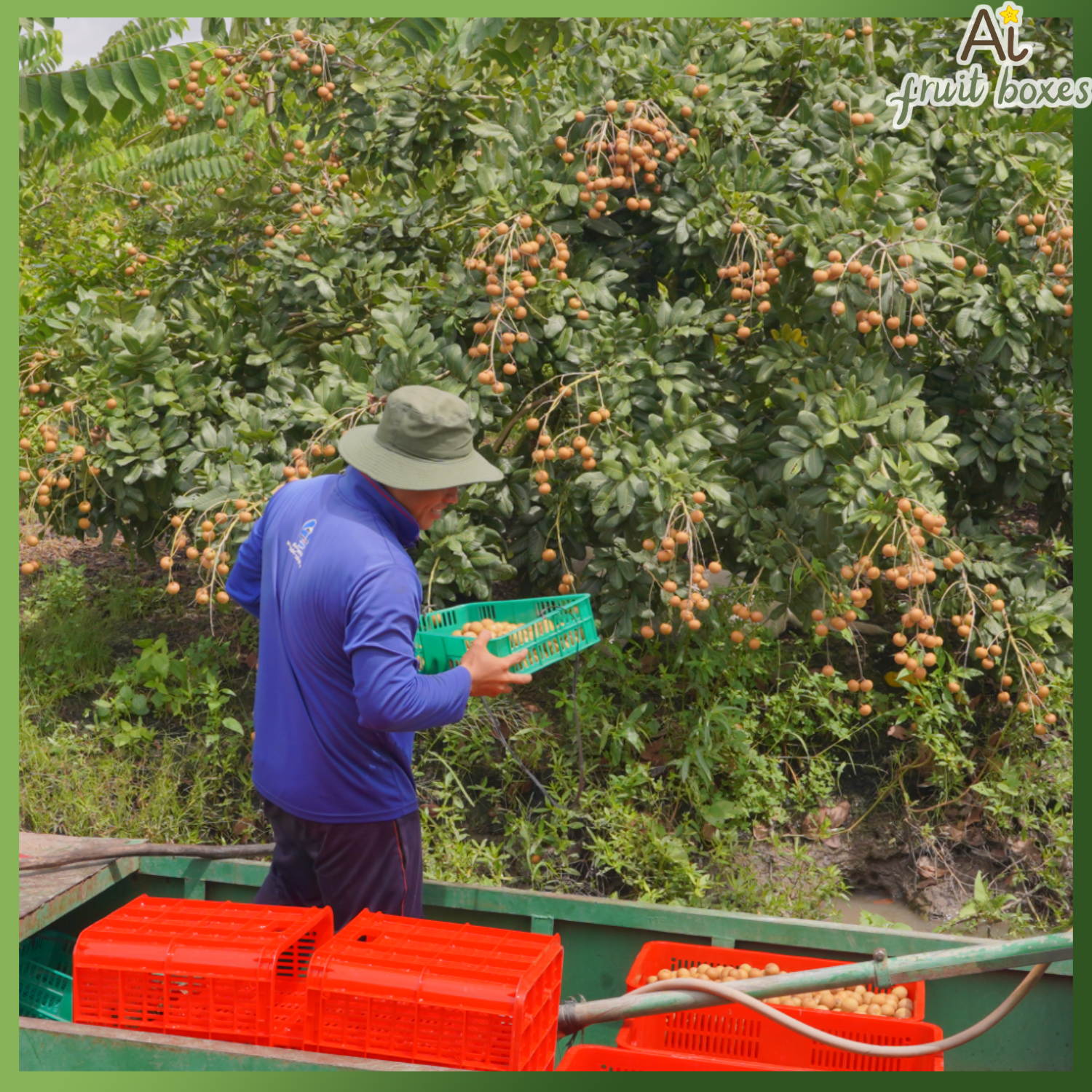 photo (67) photo 2024 07 22T142417.634