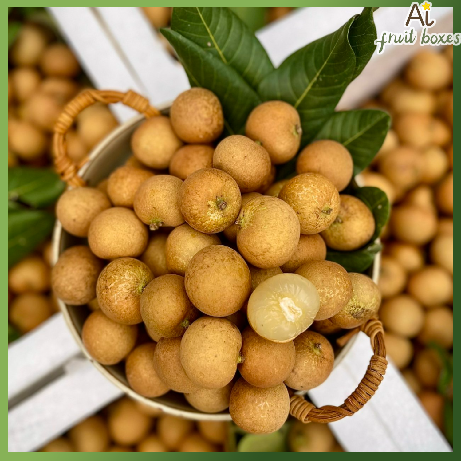 photo 2024 07 22T142515.670