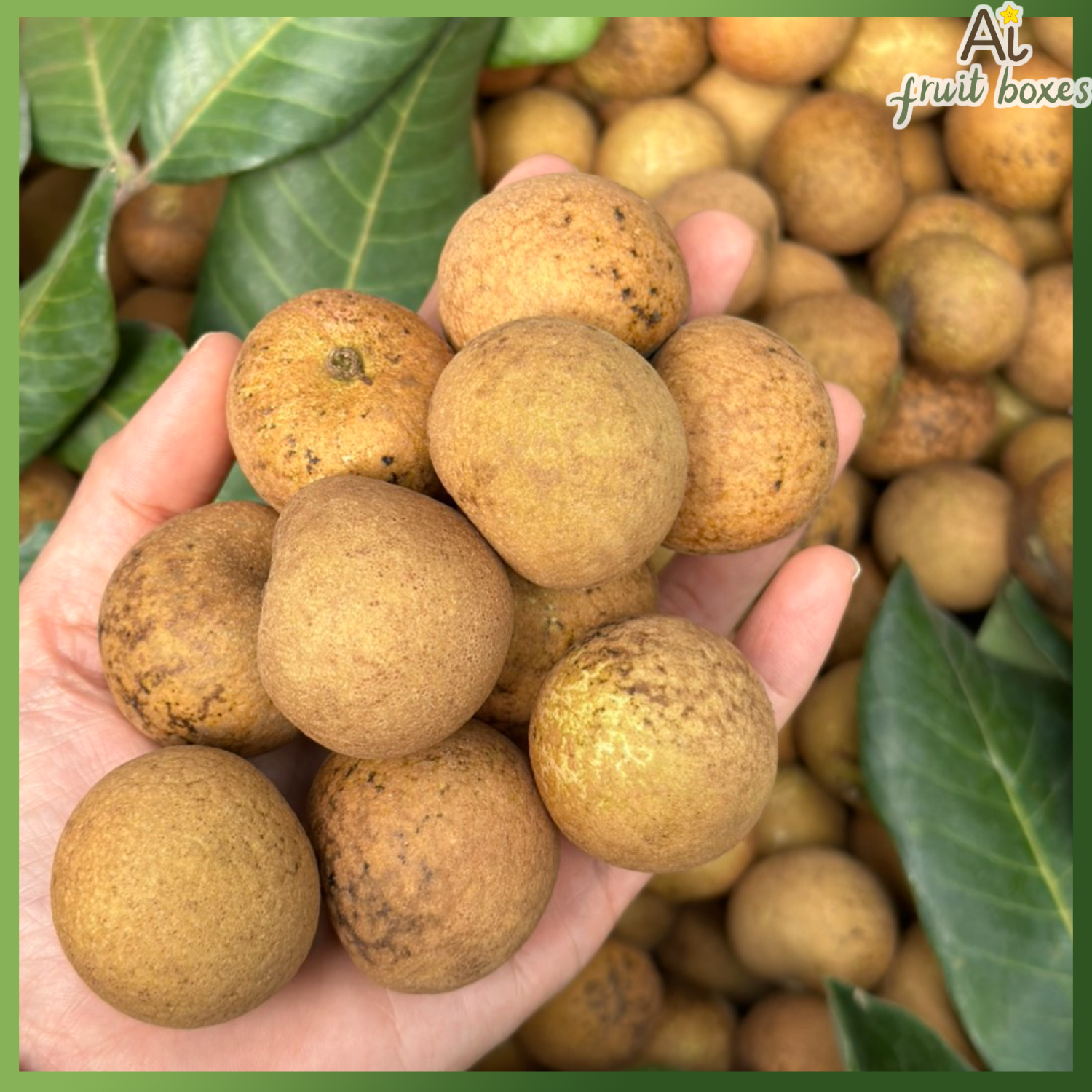 photo 2024 07 22T142540.673