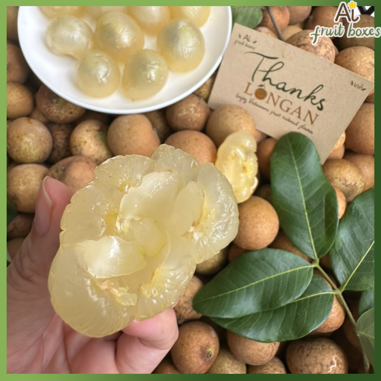 photo 2024 07 24T094921.857