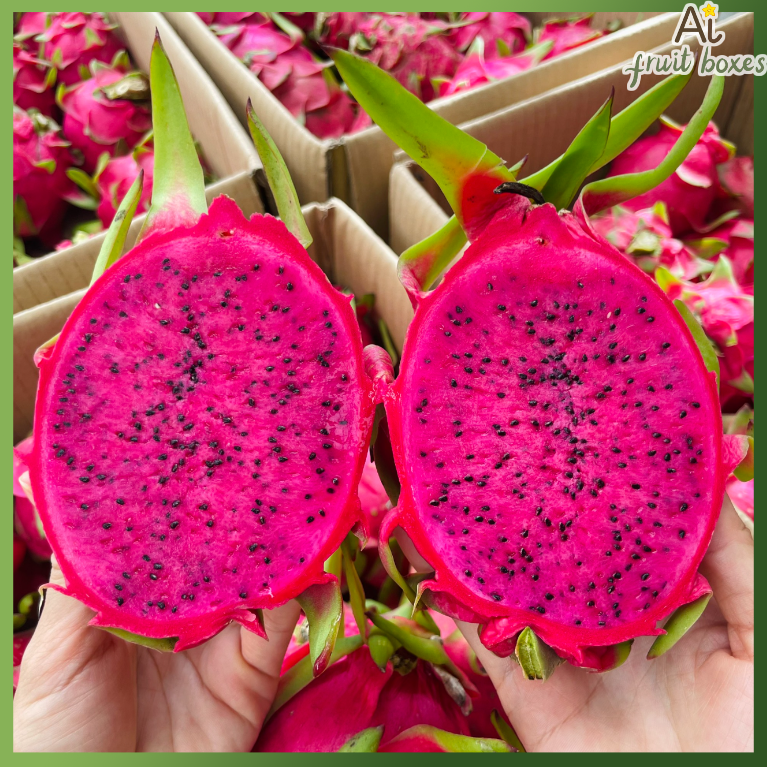 photo 2024 08 03T103927.584