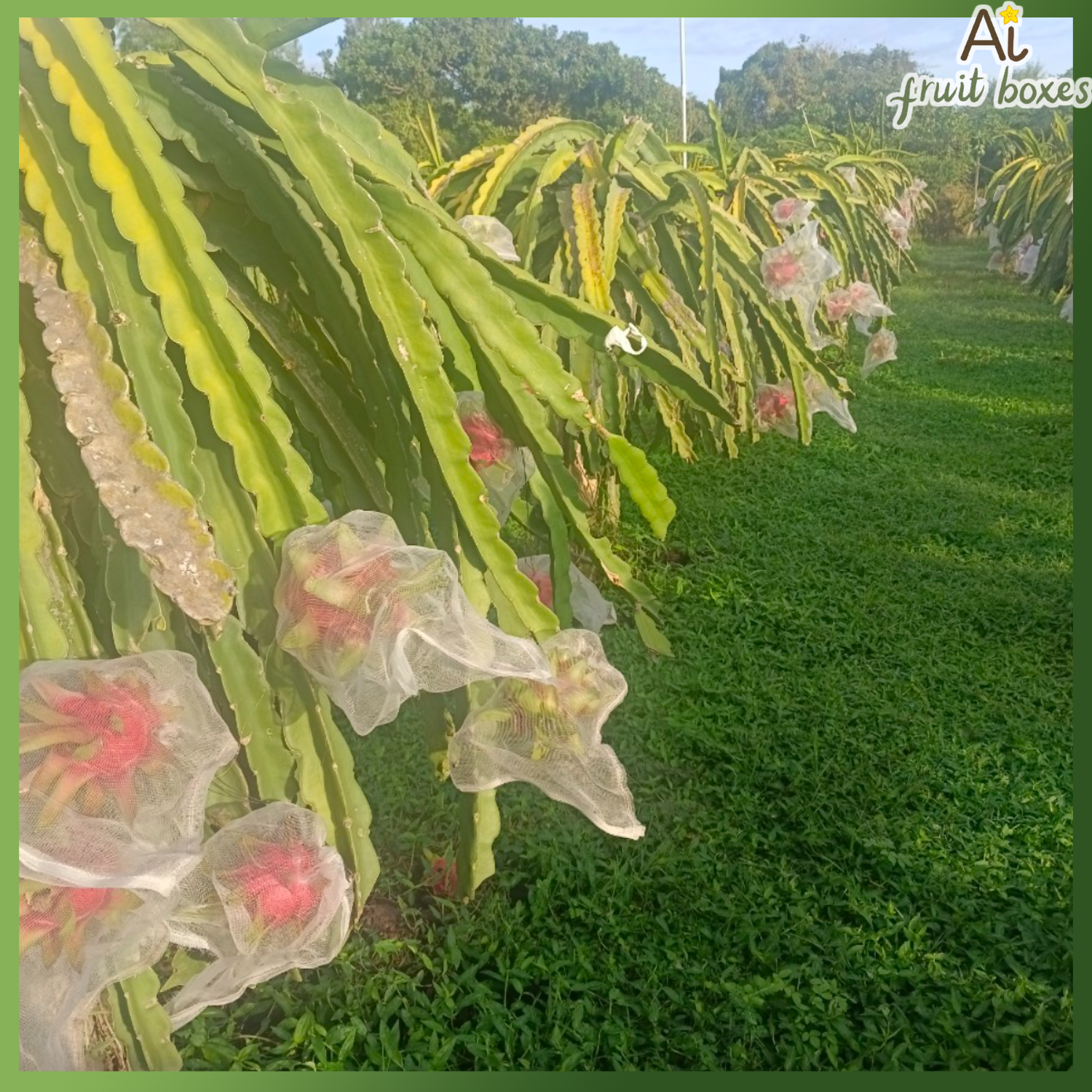 photo 2024 08 03T104304.938