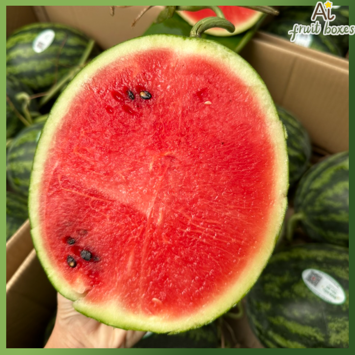 photo 2024 08 31T115243.077