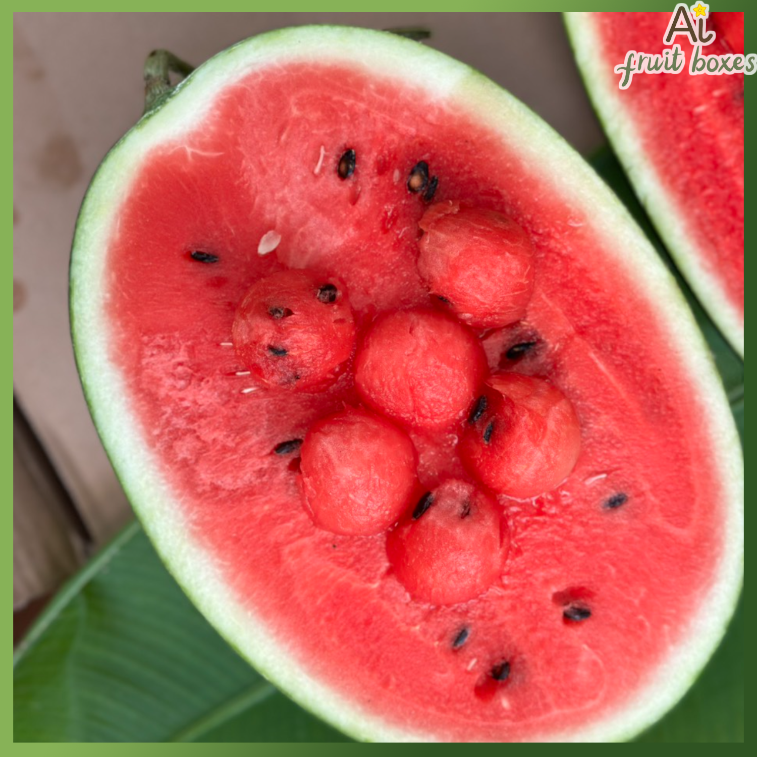 photo 2024 08 31T115253.215 photo 2024 08 31T115253.215