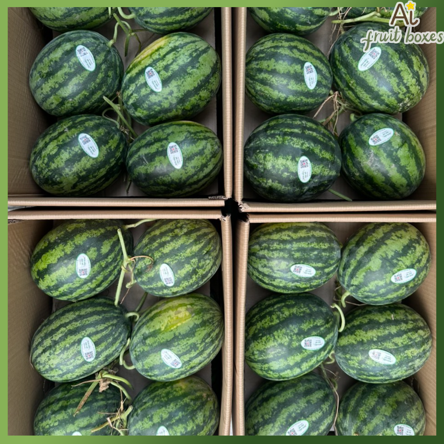 photo 2024 08 31T115312.092