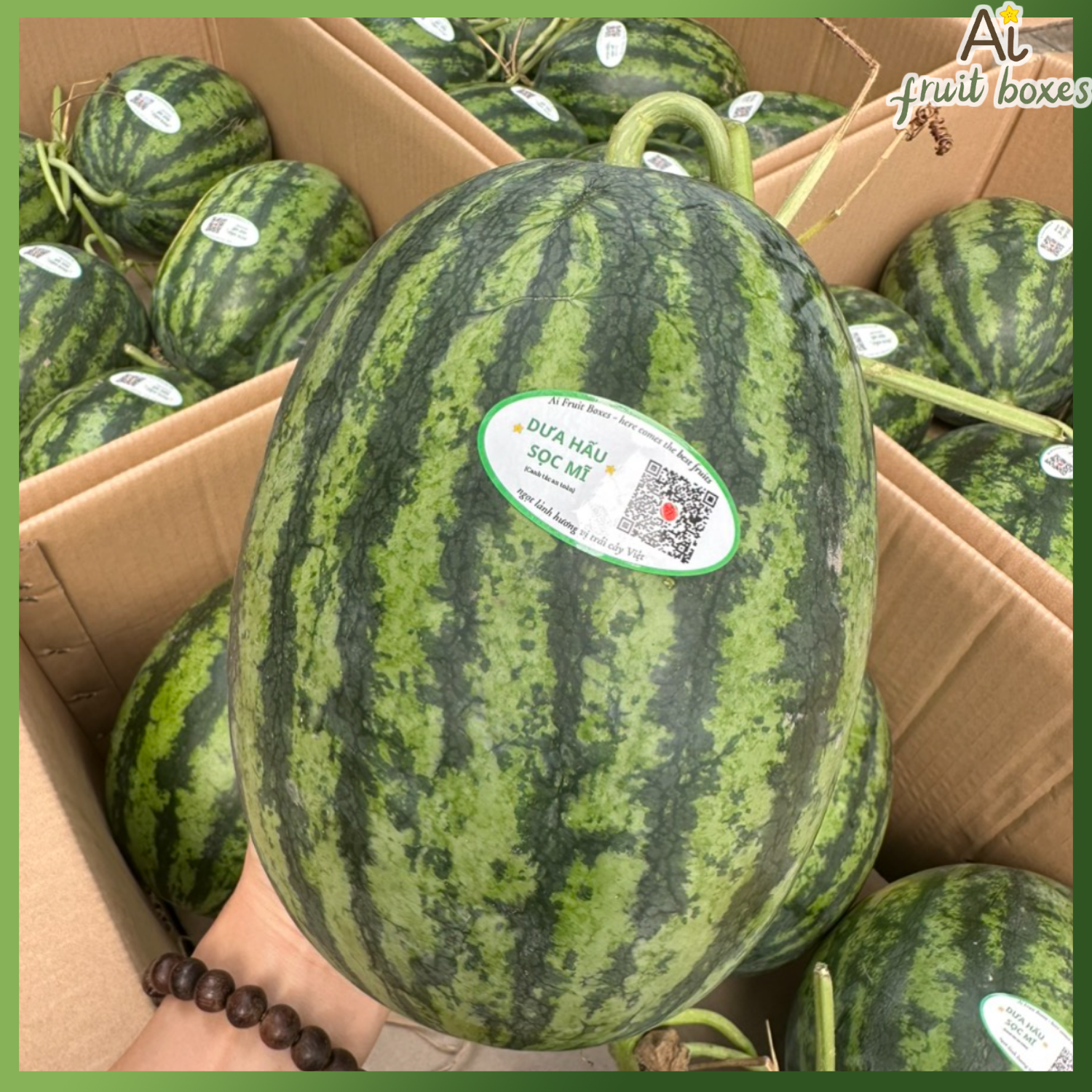 photo (99) photo 2024 08 31T115320.151