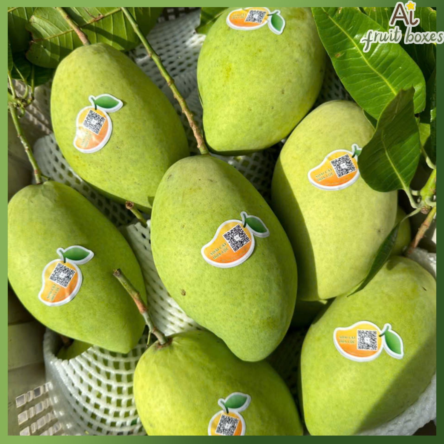 photo 2024 09 07T093723.610