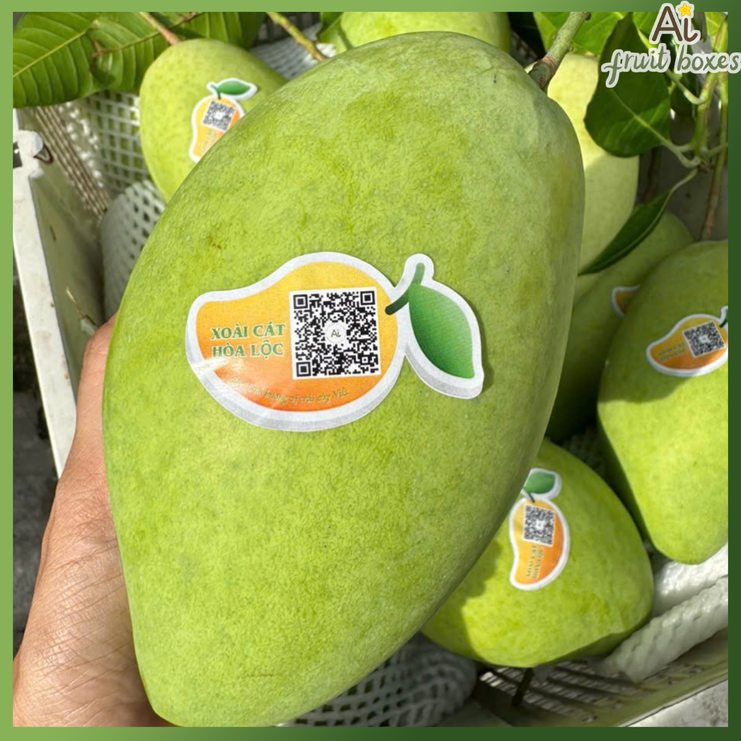 photo 2024 09 07T093735.637